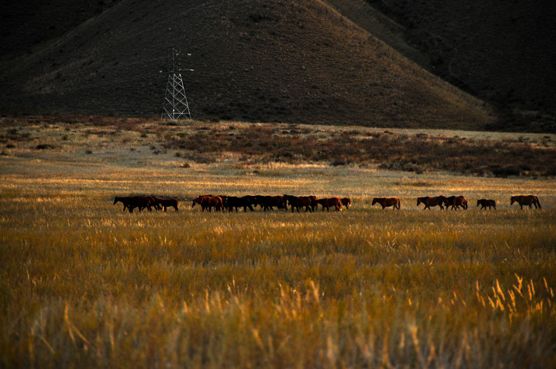 Kyrgyzstan, Asie Centrale